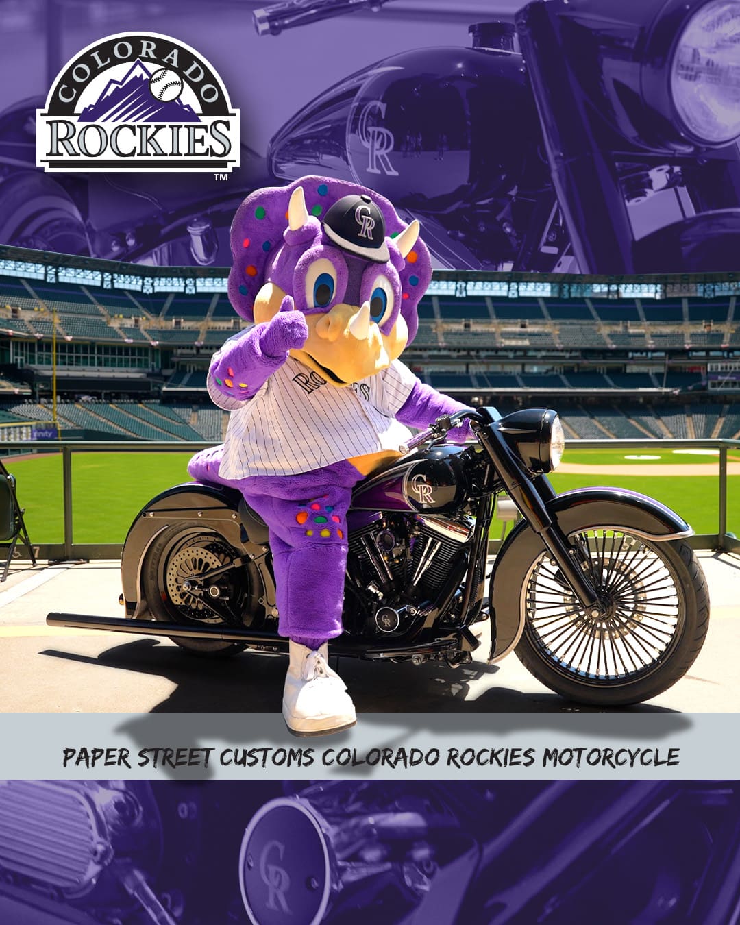 PRIZE PHOTO RockiesBikeGiveaway 2025